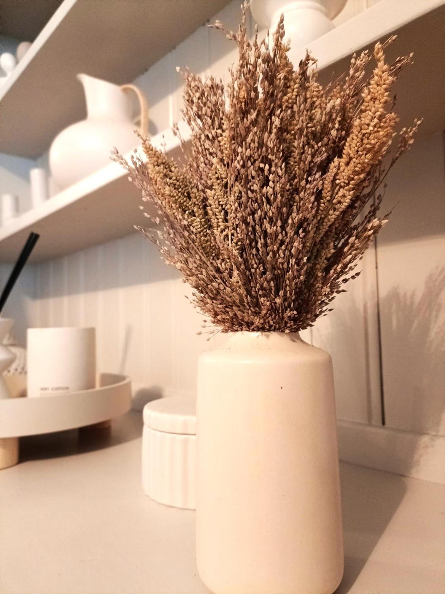 Charming Terrace Home In Whitchurch ウィットチャーチ エクステリア 写真